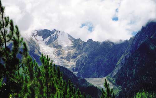 Martime glaciers,surrounded by forest in the south-east of TAR.