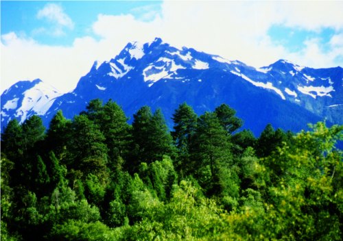 the snow-capped mountain ranges and forest in Nyingchi are the favorite dwelling for man-like creatures.