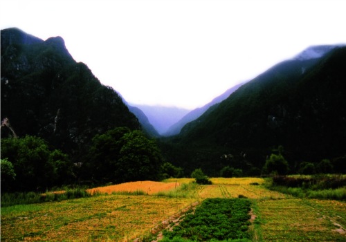 The valley in Nyingchi,famed for man-like creatures.