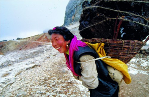 Believers provide yak dung for Rtse Drugdgon Monastery after taking a four-hour journey.